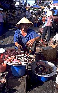 Snake Meat for Sale