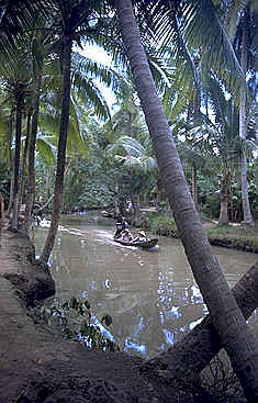 A boat on a Jungle River