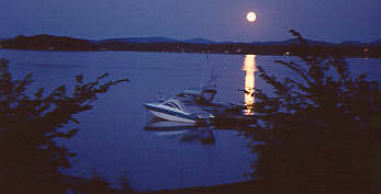 Keeler Bay Moonlight